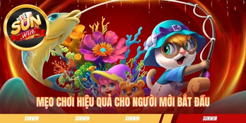 Máy Bắn Cá - Hướng Dẫn Chơi Và Kinh Nghiệm Săn Bắt Hiệu Quả Mẹo chơi hiệu quả cho người mới bắt đầu